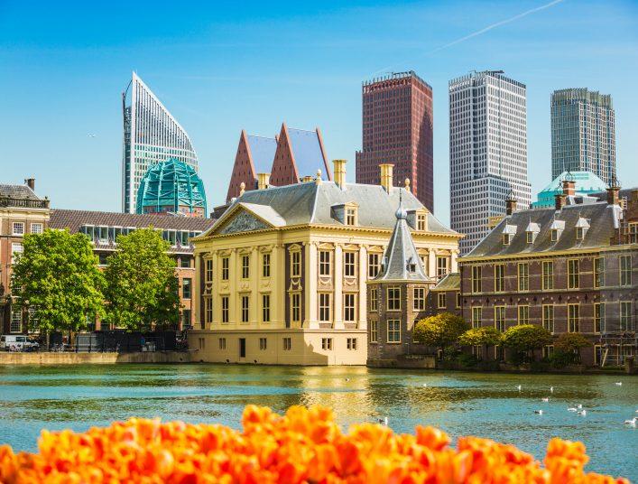 Historic buildings reflect in the water; modern skyscrapers rise in the background. Bright orange tulips bloom in the foreground. Seagulls fly over the pond to the right.