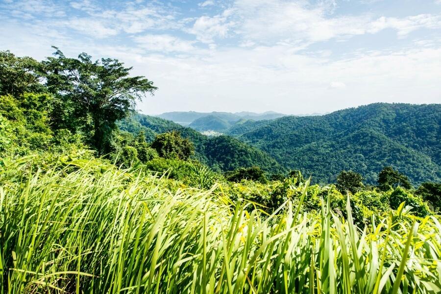 Panorama View in Khao Yai National Park