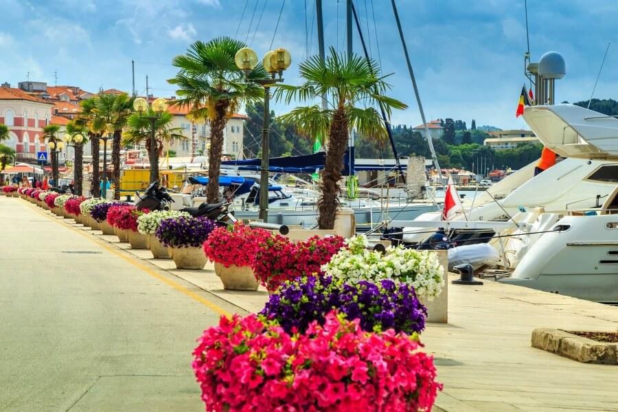 The Harbor of Porec
