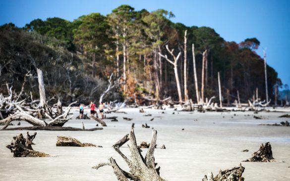 The Walking Dead filming locations, Atlanta, TWD, Driftwood Beach