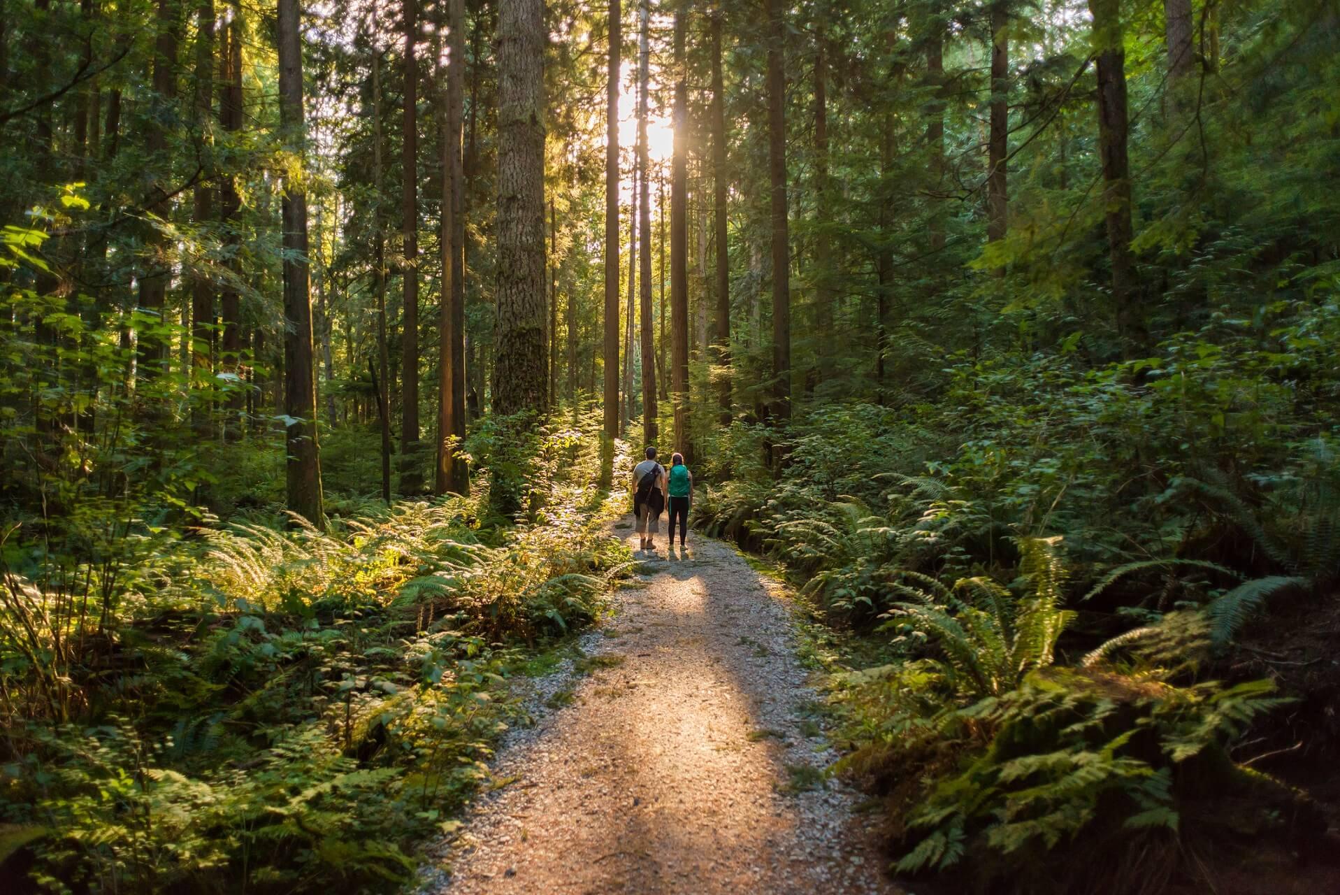 Green Vancouver boasts many parks