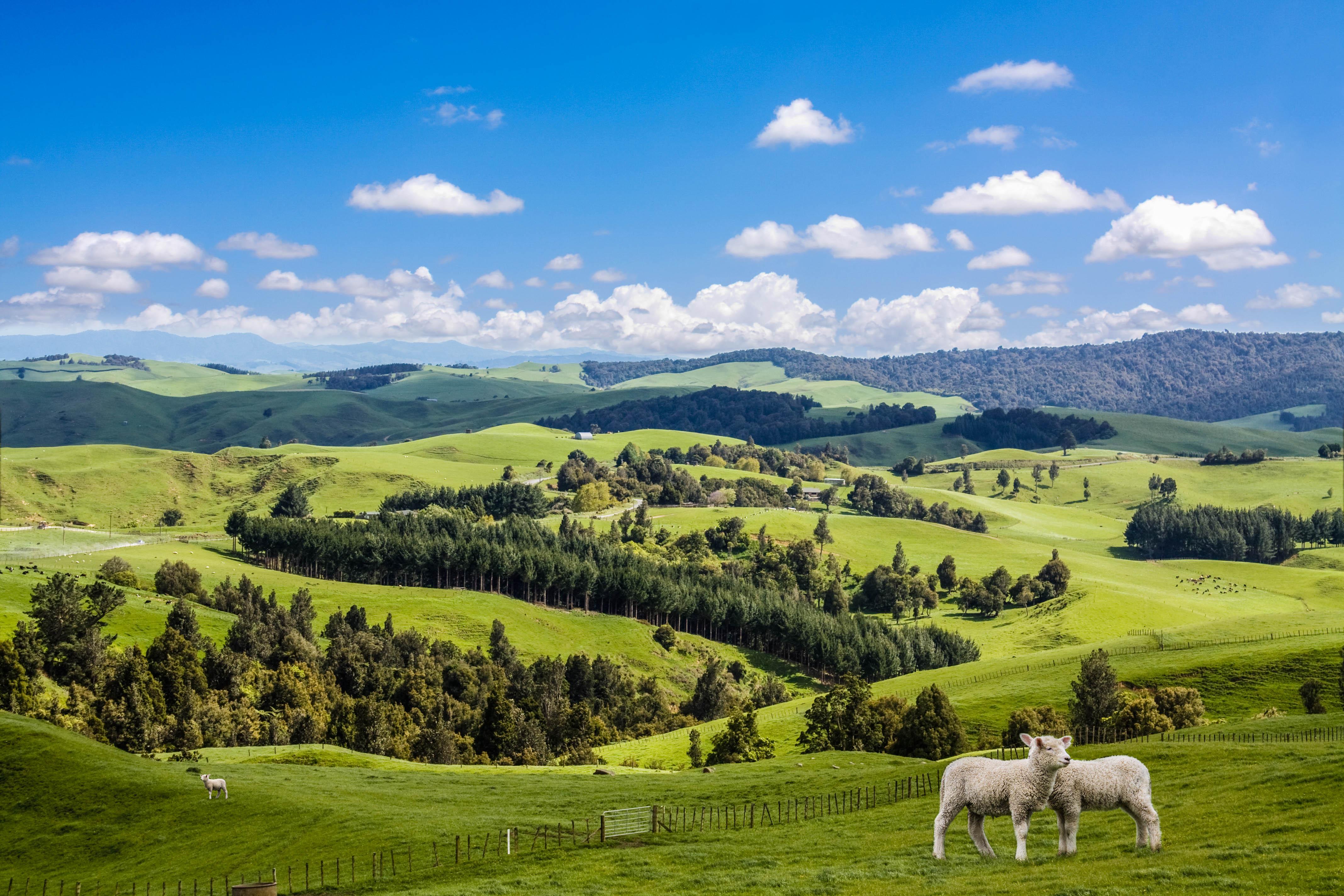 New Zealand