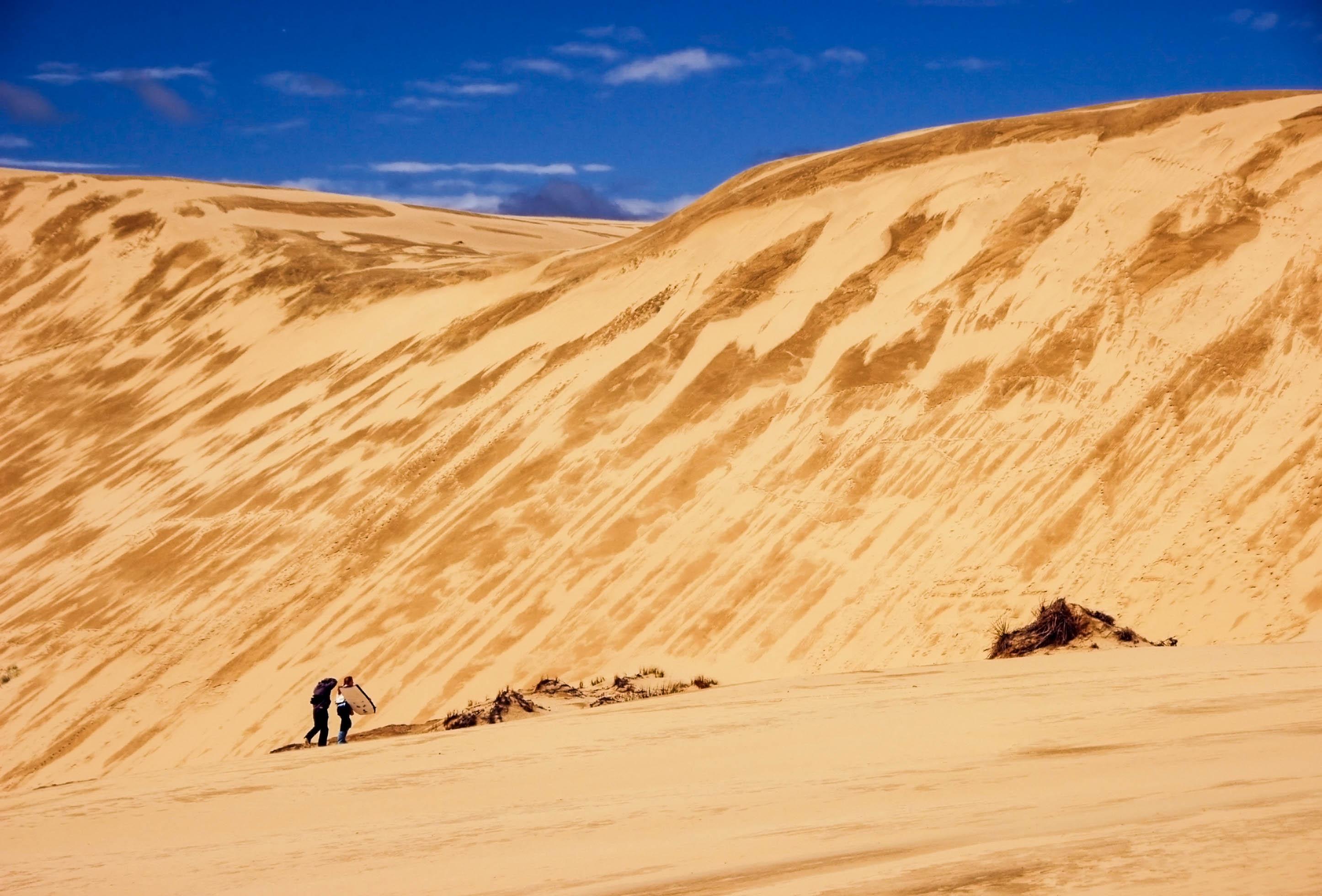 New Zealand - Sandboarding