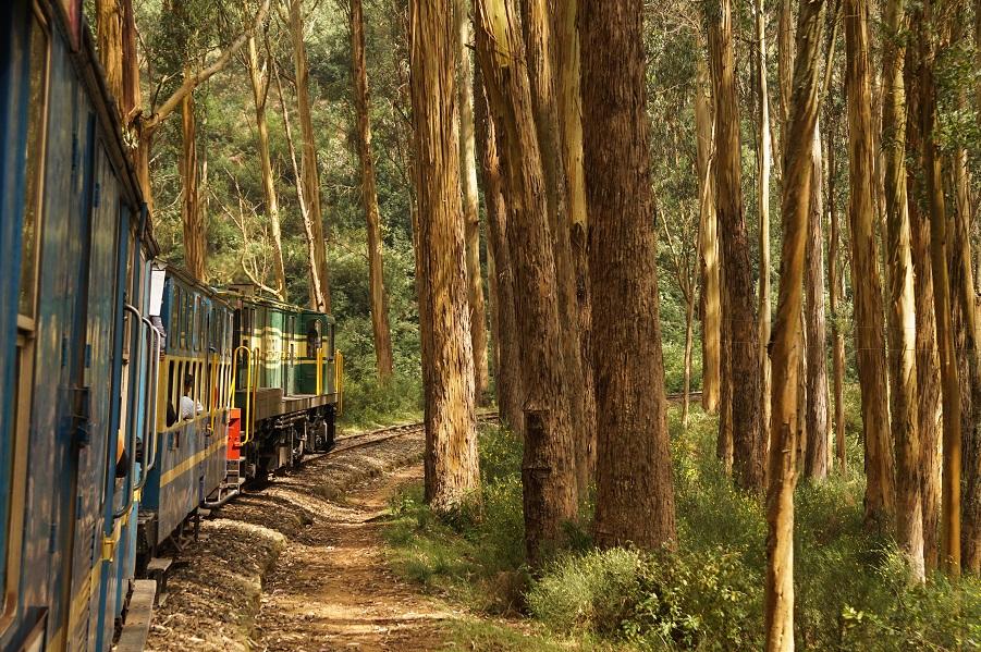 Nilgiri Mountain Railway in India