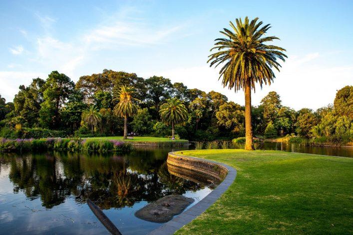 The Royal Botanic Garden in Melbourne
