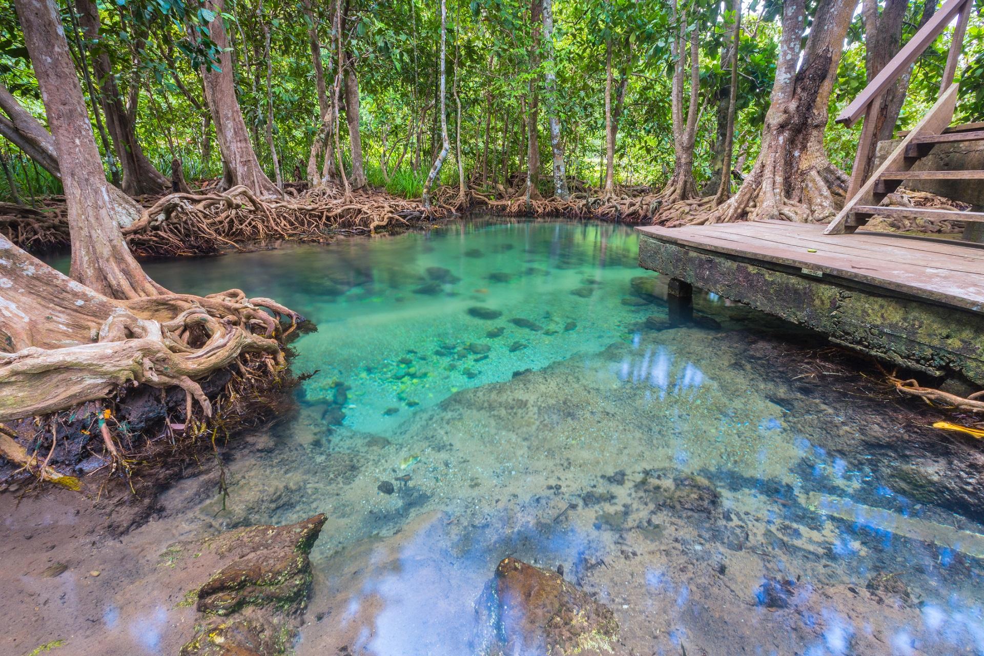 Emerald Pool in southern Krabi