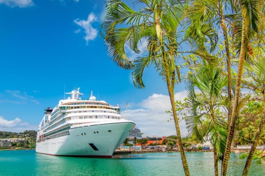 Landscape with tropical palm trees, a large white cruise ship in the harbor, and a bustling coastline with mountains in the background.
