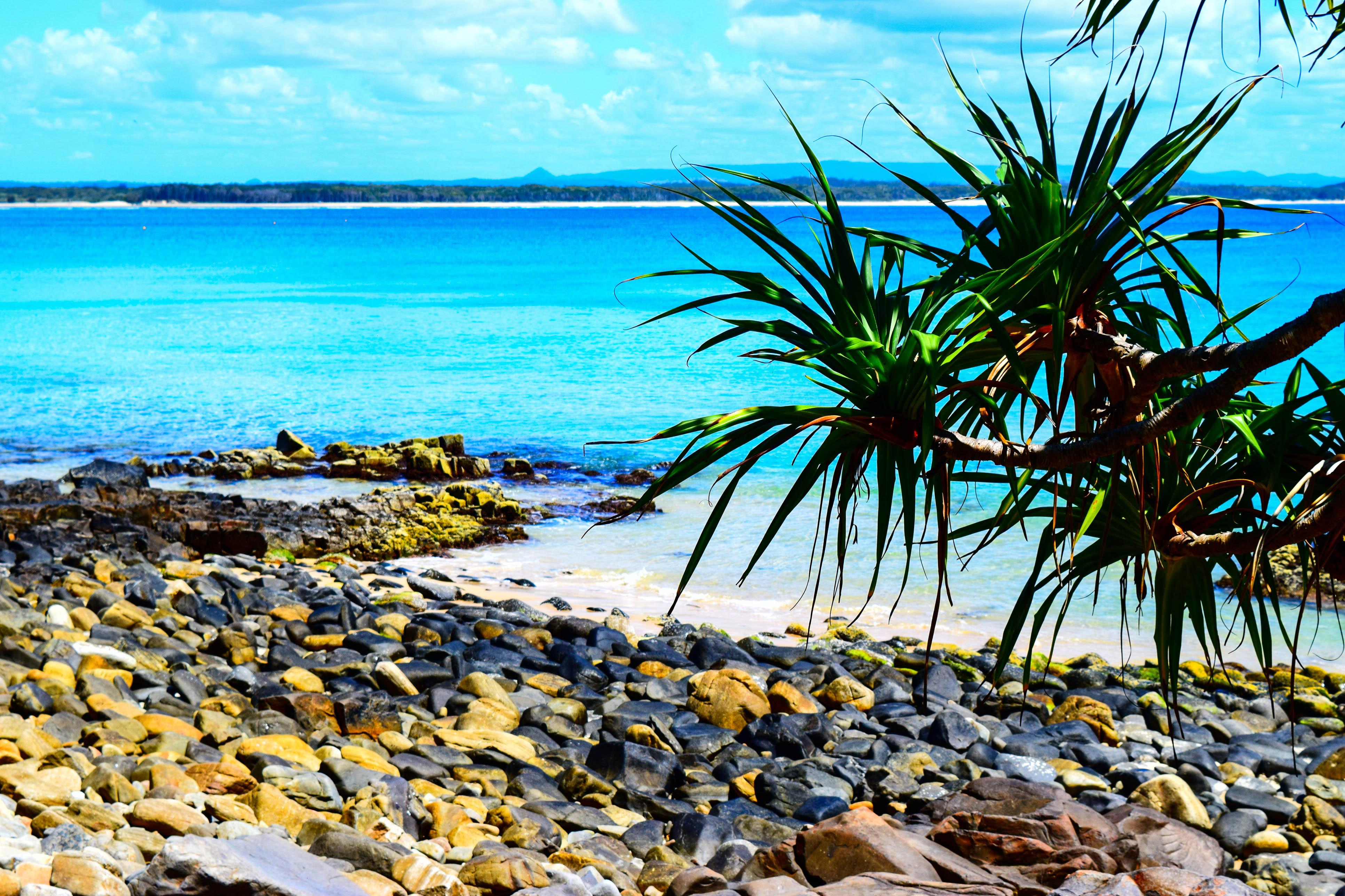 Noosa National Park Beach with Turquoise Water