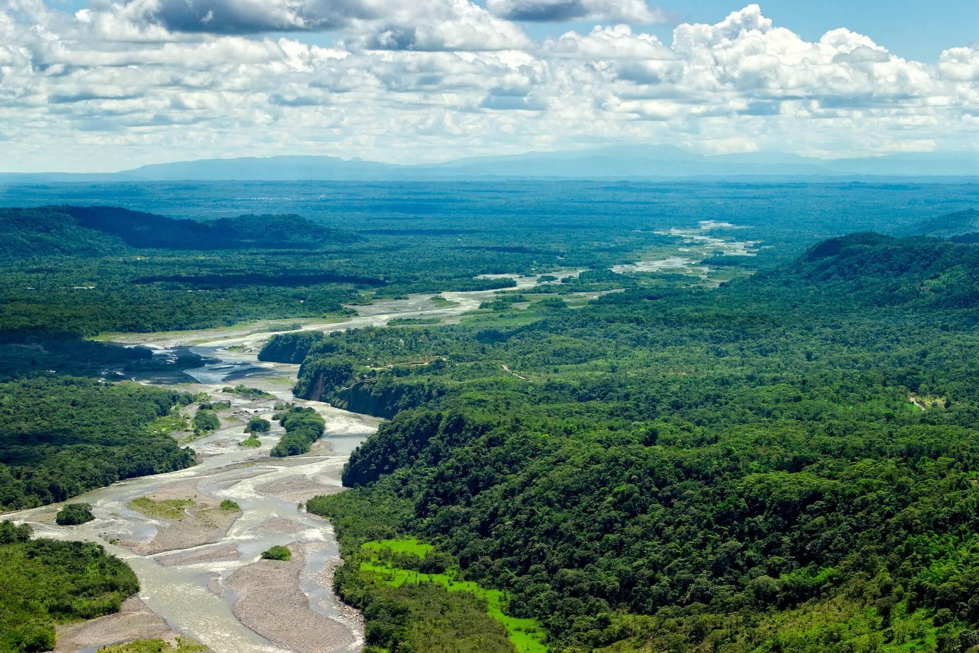 The Amazon winds through South America