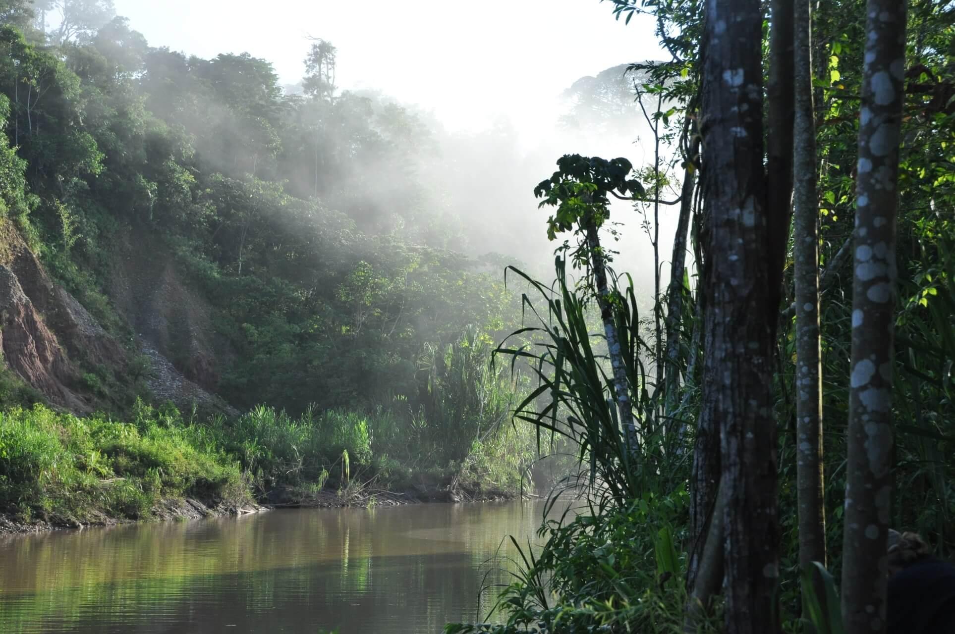 Sunrise over the Tambopata River in the Peruvian Amazon rainforest