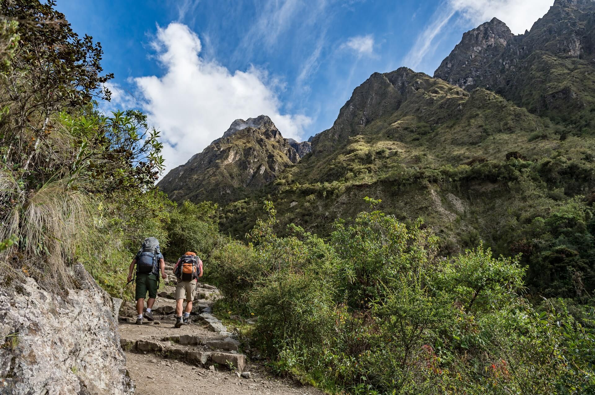 Hiker on the Inca Trail, Inca Trail. Dead Woman's Pass Machu Picchu, Peru, South America