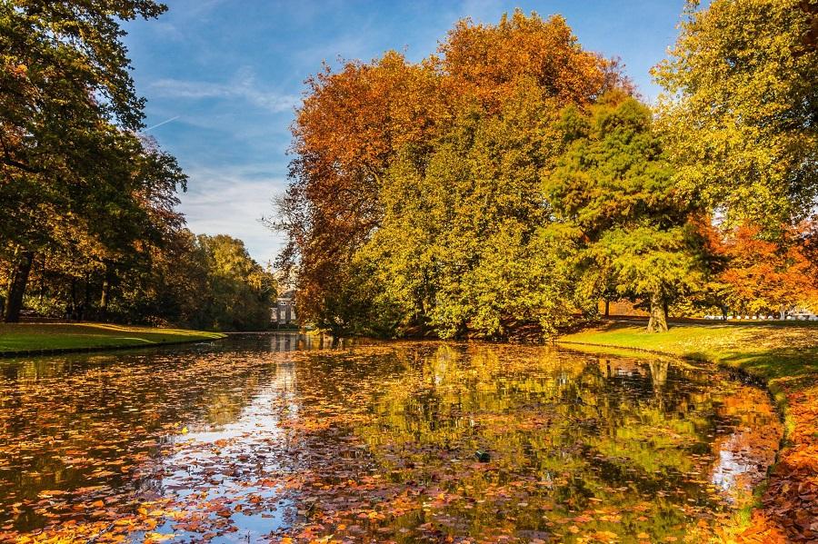 Autumn trees in bright yellow and orange hues reflect in a calm river. The sky is blue, and the shore is covered with colorful leaves. On the left is an expansive green area.