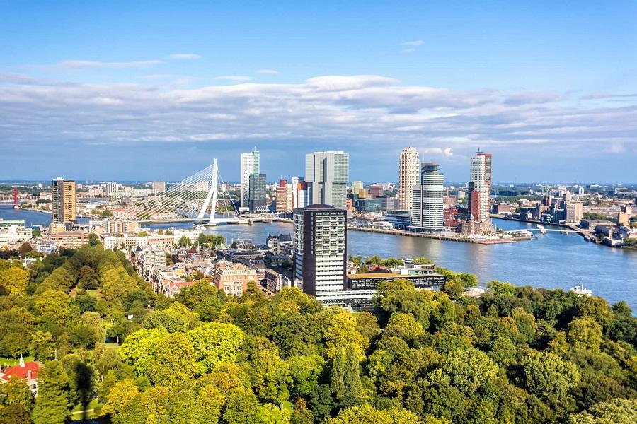 Rotterdam skyline with modern skyscrapers by the river, surrounded by lush greenery in the foreground. A distinctive bridge connects the city districts, while the sky is blue with a few clouds.