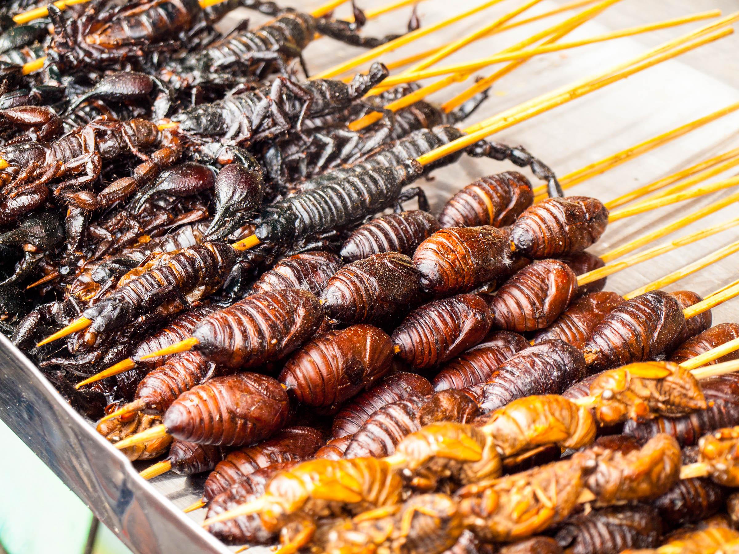 Roasted fried insects and bugs