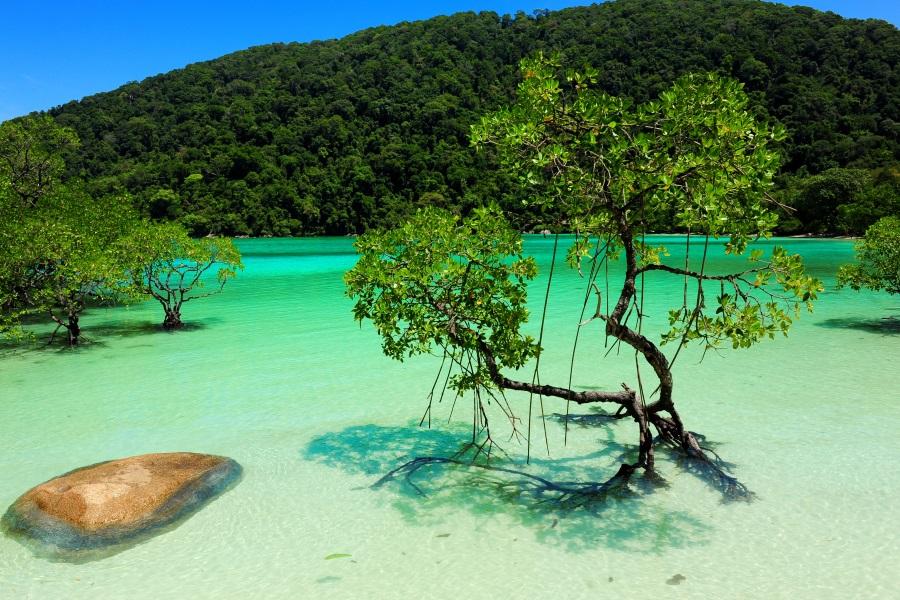 The crystal-clear water and blue sky in Mu Koh Surin National Park