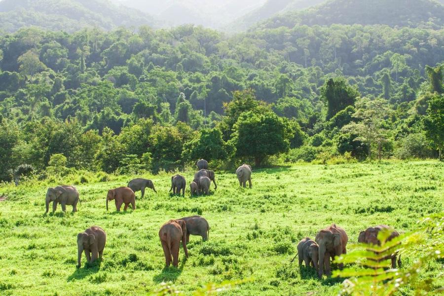 Kui Buri National Park in Thailand