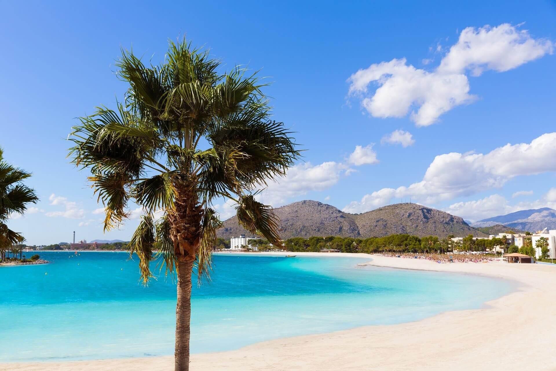 Wide sandy beach with a palm in the foreground. In the background, houses and mountains are visible.