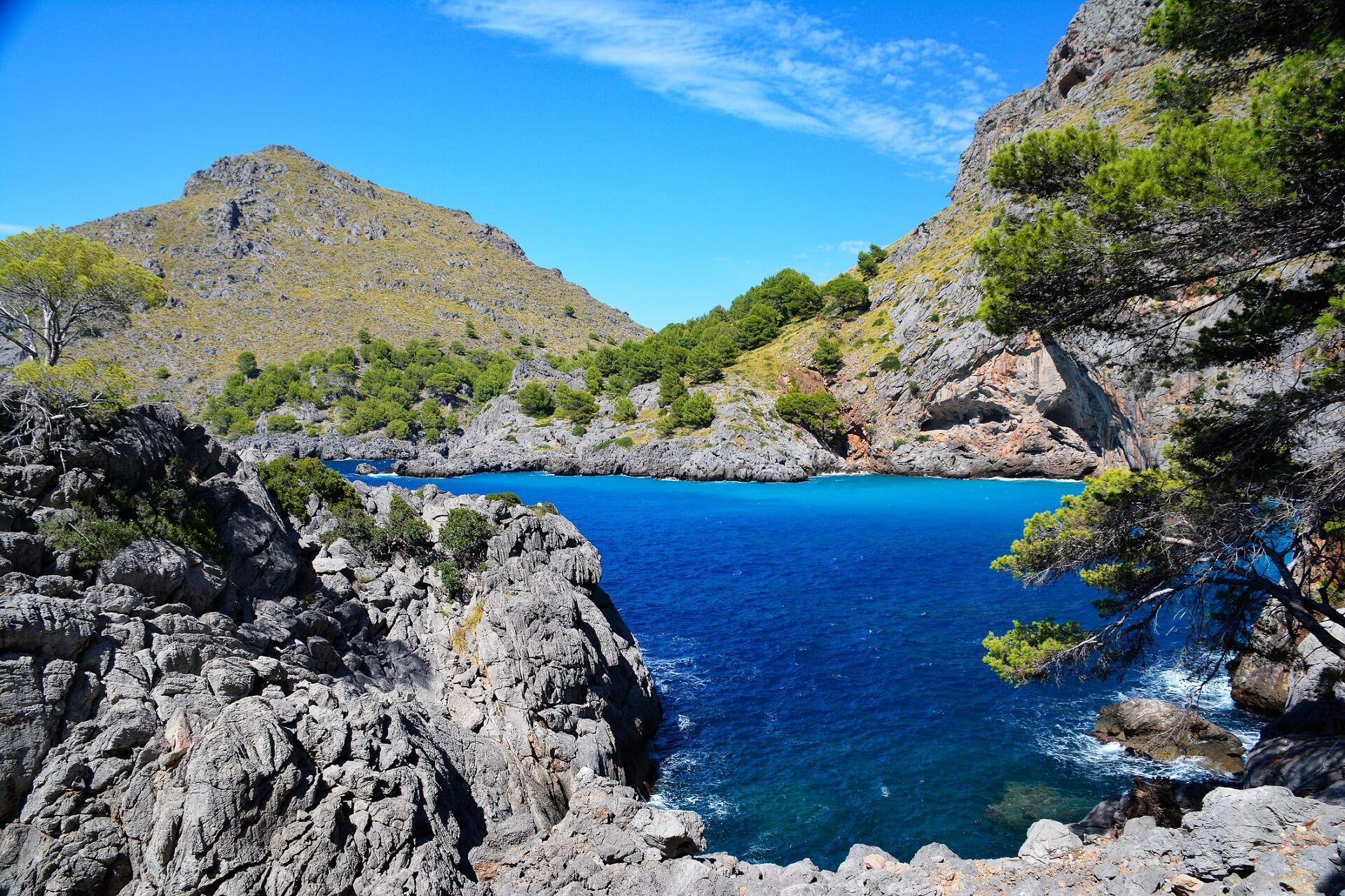Coastline with turquoise sea, surrounded by high, rocky mountains with green trees. In the foreground, rough rocks, above blue sky and white clouds. On the right, a tree juts into the image.