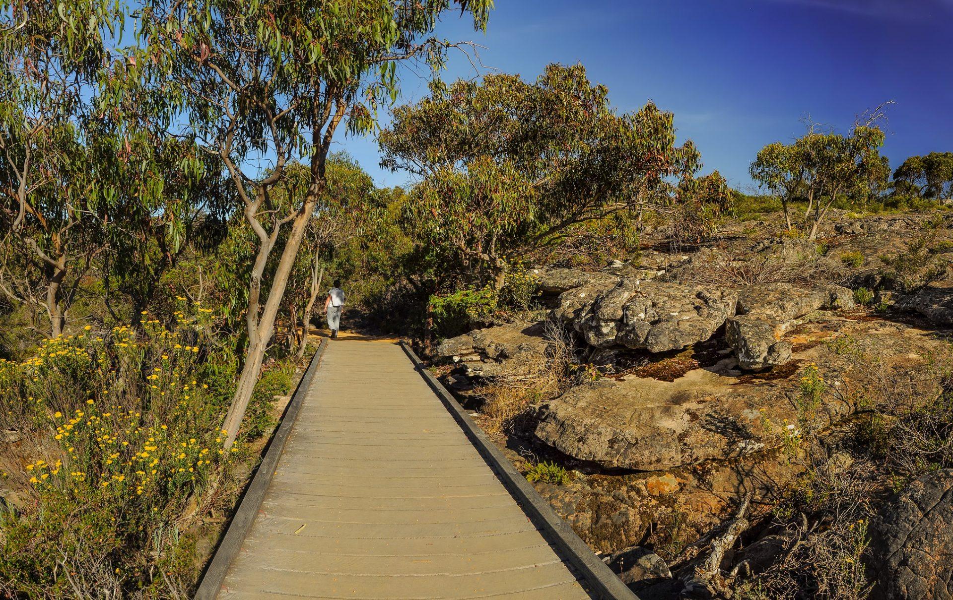 Australia is the country with the most national parks in the world