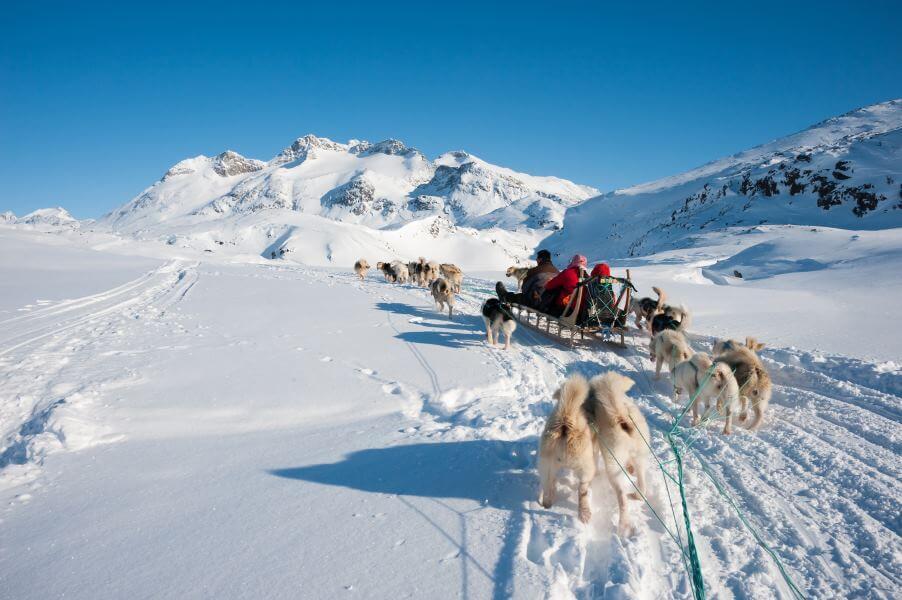 Dog sledding in Greenland
