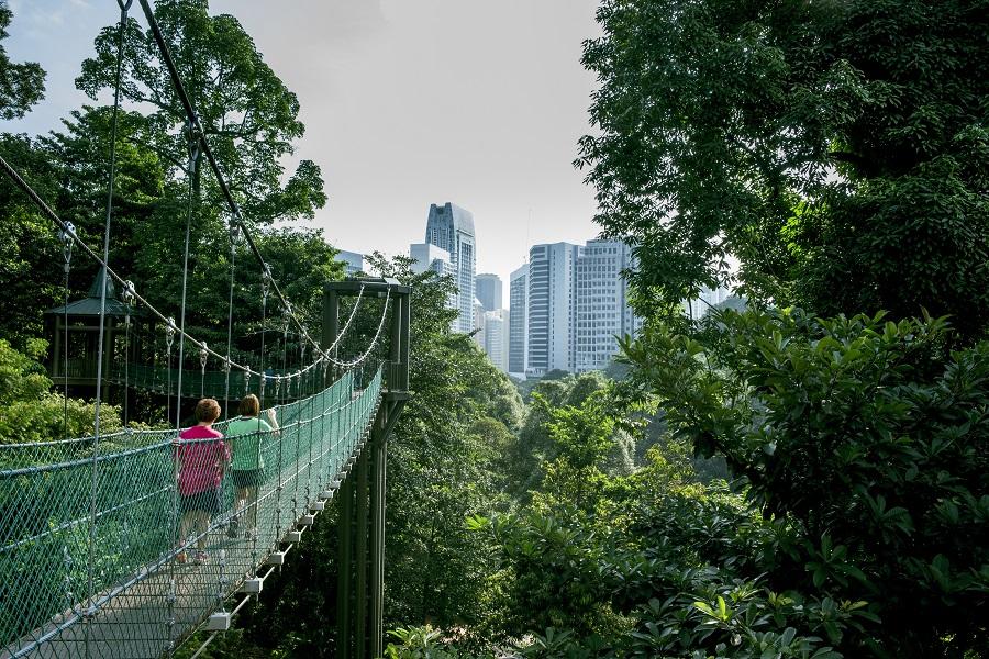 KL Forest Eco Park in Kuala Lumpur