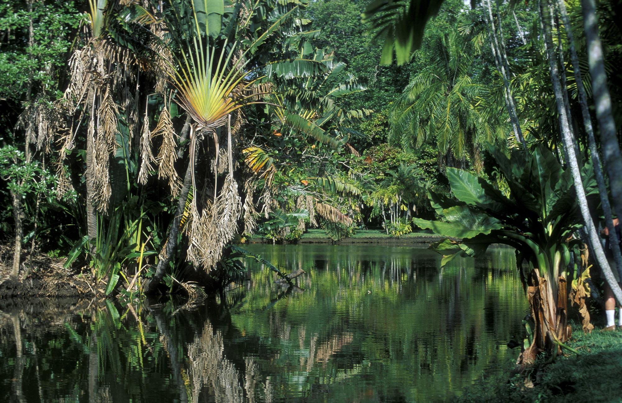 Botanical Garden of Mauritius