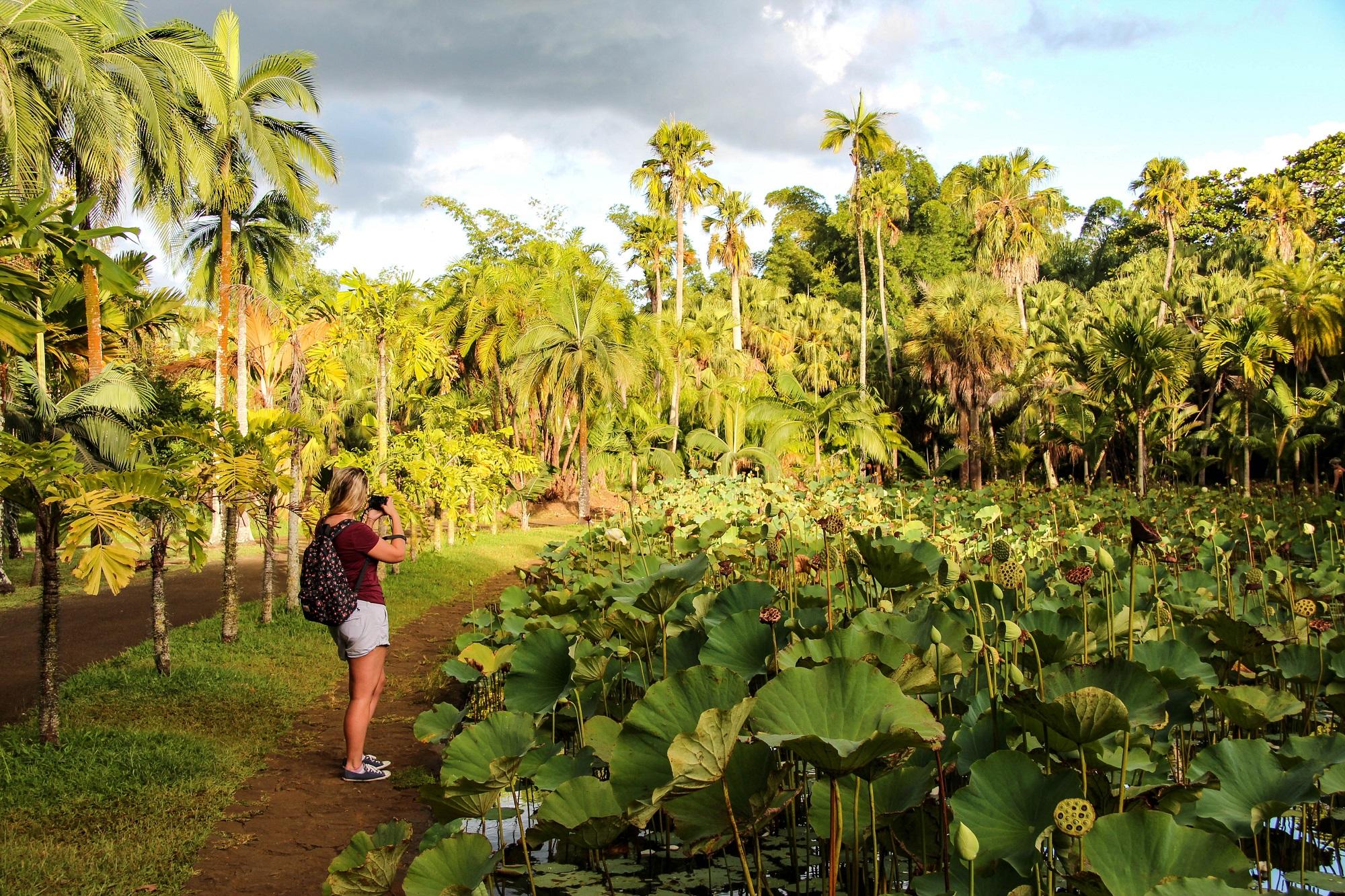 Botanical Garden of Mauritius