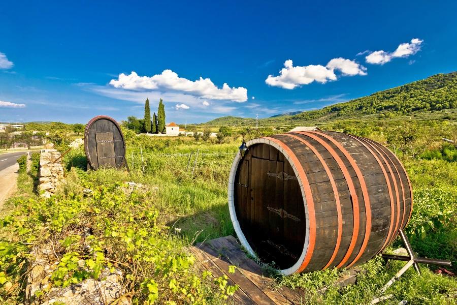 Wine barrels at the Stari Grad Plain, UNESCO World Heritage Site on the island of Hvar, Dalmatia, Croatia