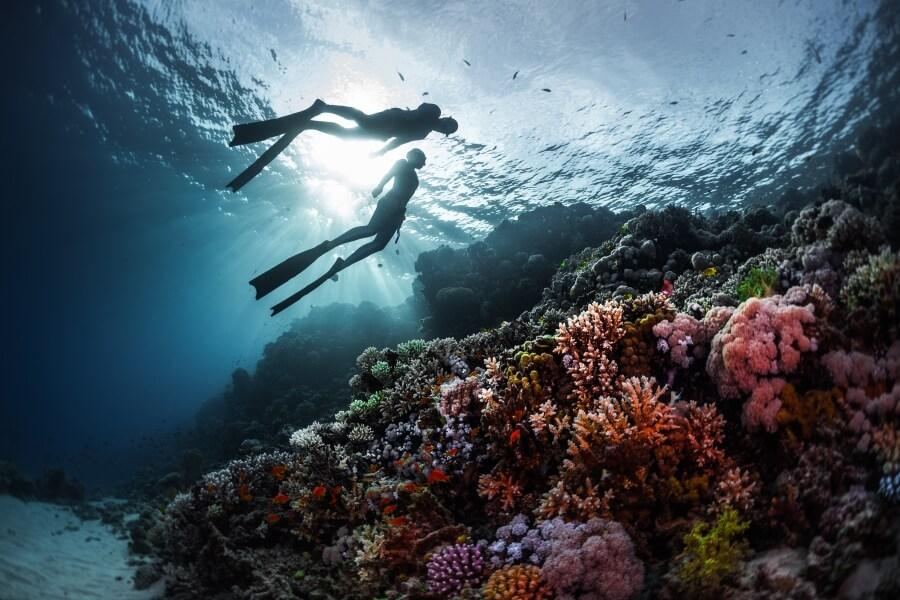 The Red Sea