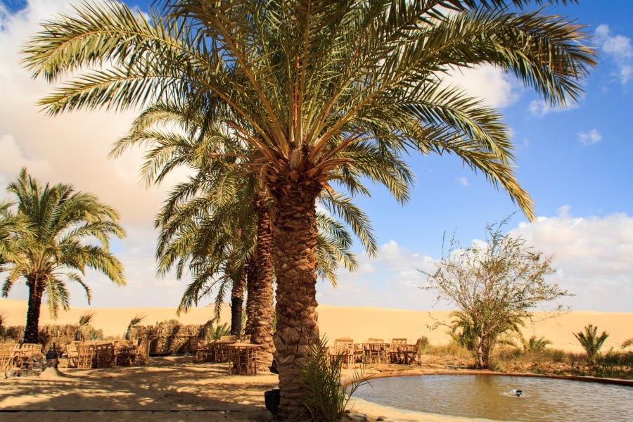 Siwa Oasis in Egypt