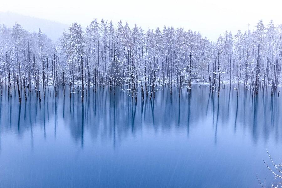 Hokkaido Winter Landscape