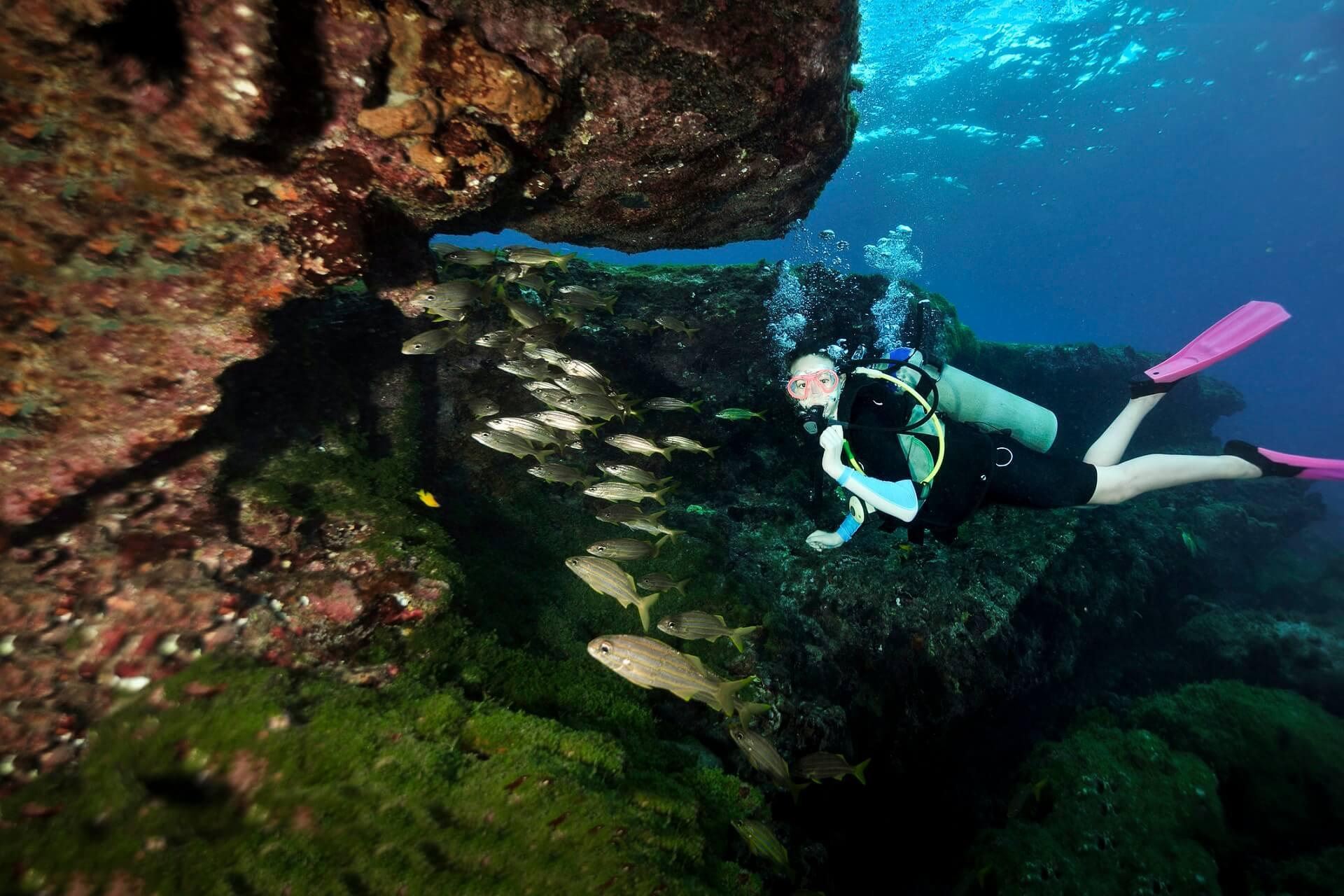 Discover the fascinating underwater world of Fernando de Noronha