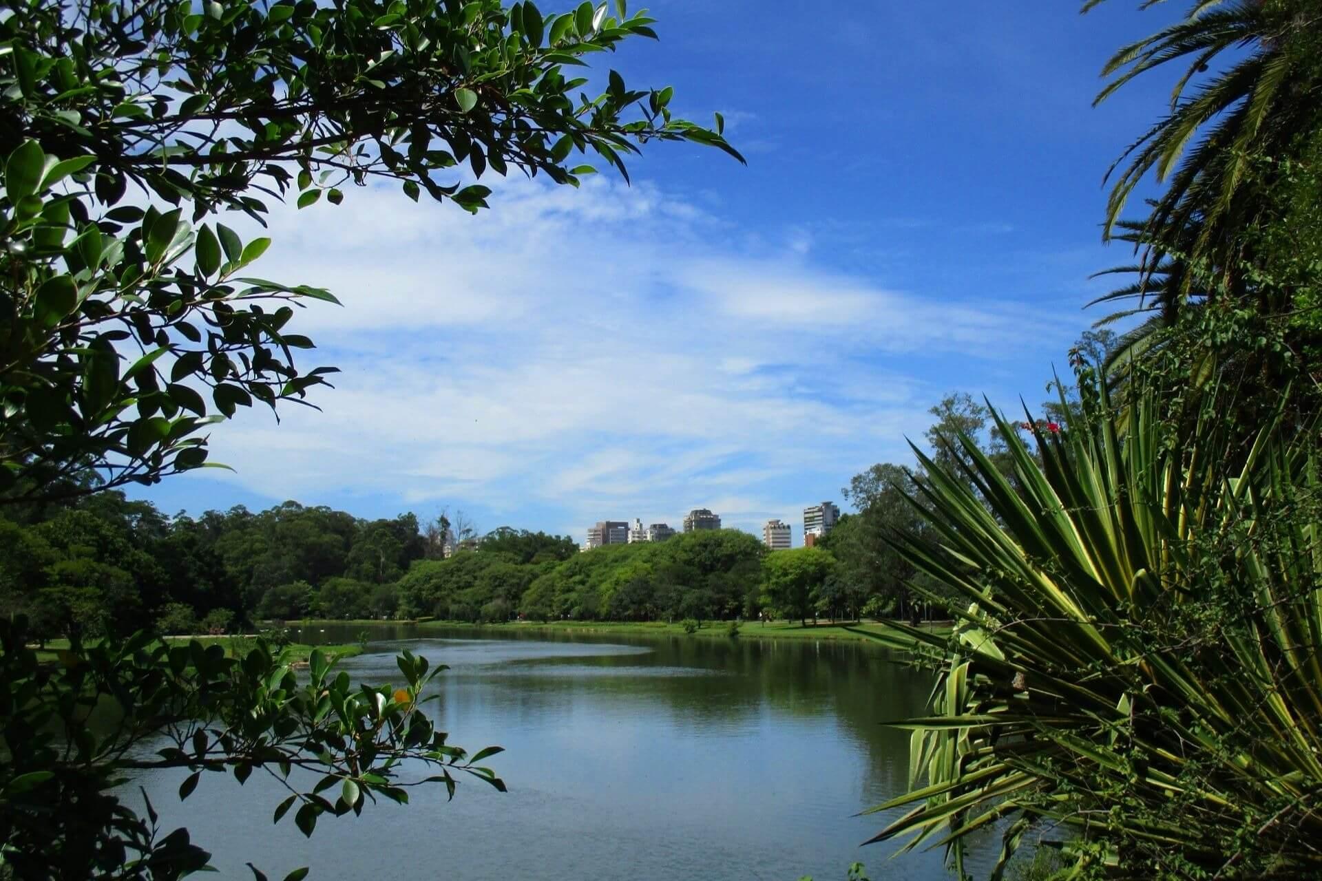 Escape the city hustle in Parque do Ibirapuera