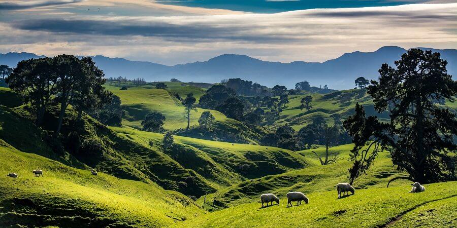The Shire, the area around Hobbiton in New Zealand