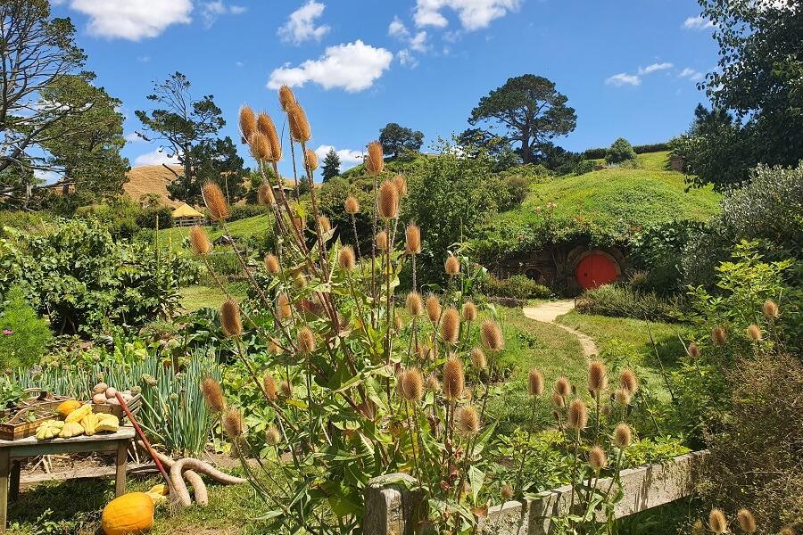 hobbiton_new_zealand_shutterstock_1931620079