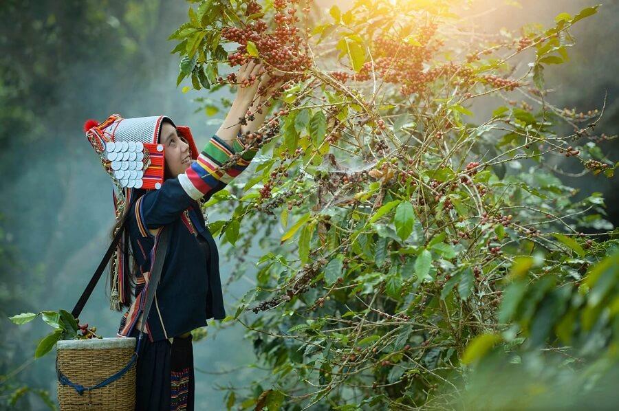 Champasak, located in the southwest of Laos, on the border with Cambodia and Thailand