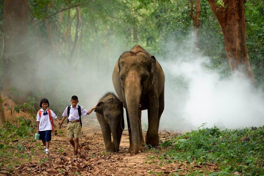 Children with elephants in Laos