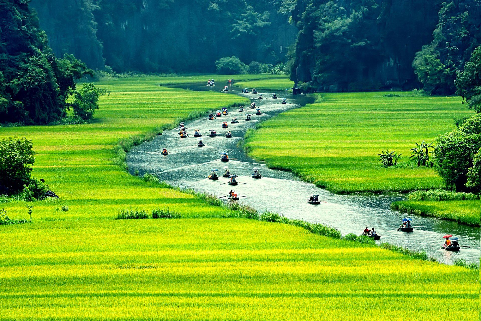 Vietnam's nature will impress you