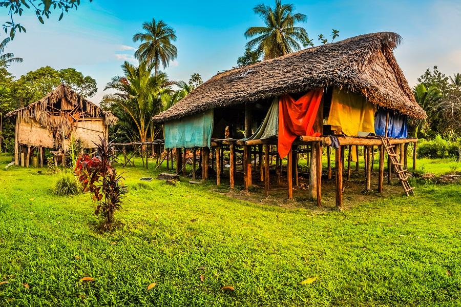 Sepik Treehouse