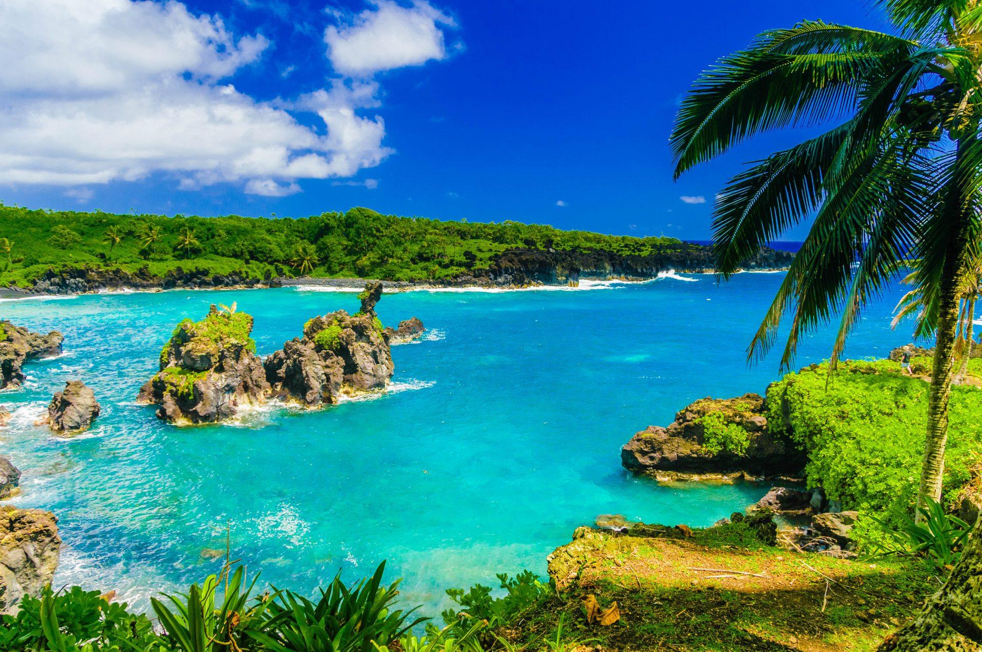 Whale watching is possible on the dream island of Maui