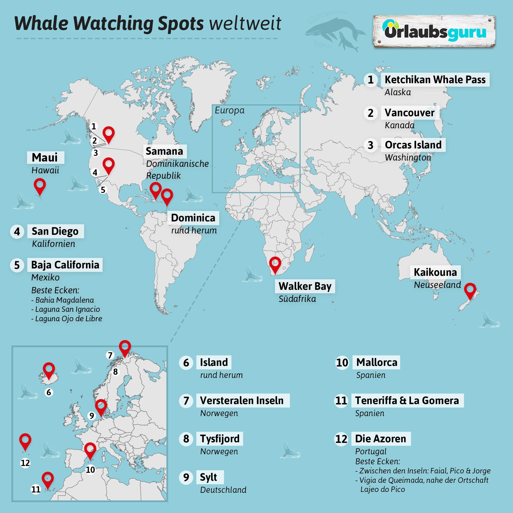The world's best whale watching at a glance
