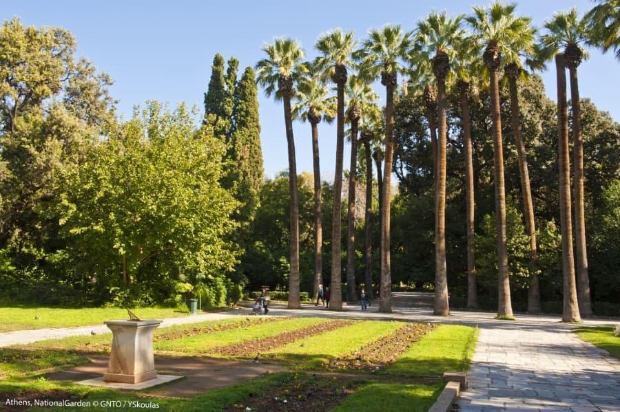 Green avenue in the National Garden of Athens with tall palm trees, a shady path on the right, and a flower bed in the middle. On the left are trees and bushes, a clear, sunny atmosphere, and a pedestal in the foreground.