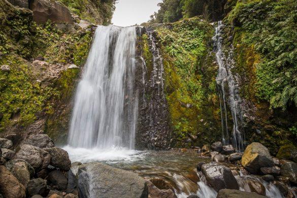 Curtis Falls in Egmont National Park in New Zealand