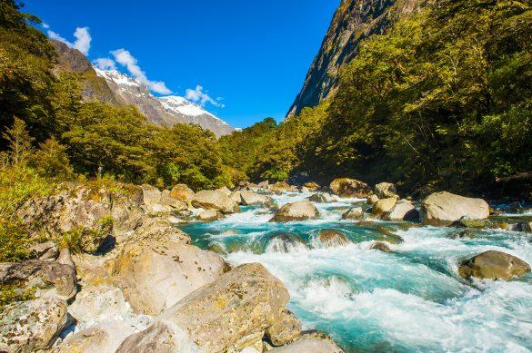 Fiordland National Park