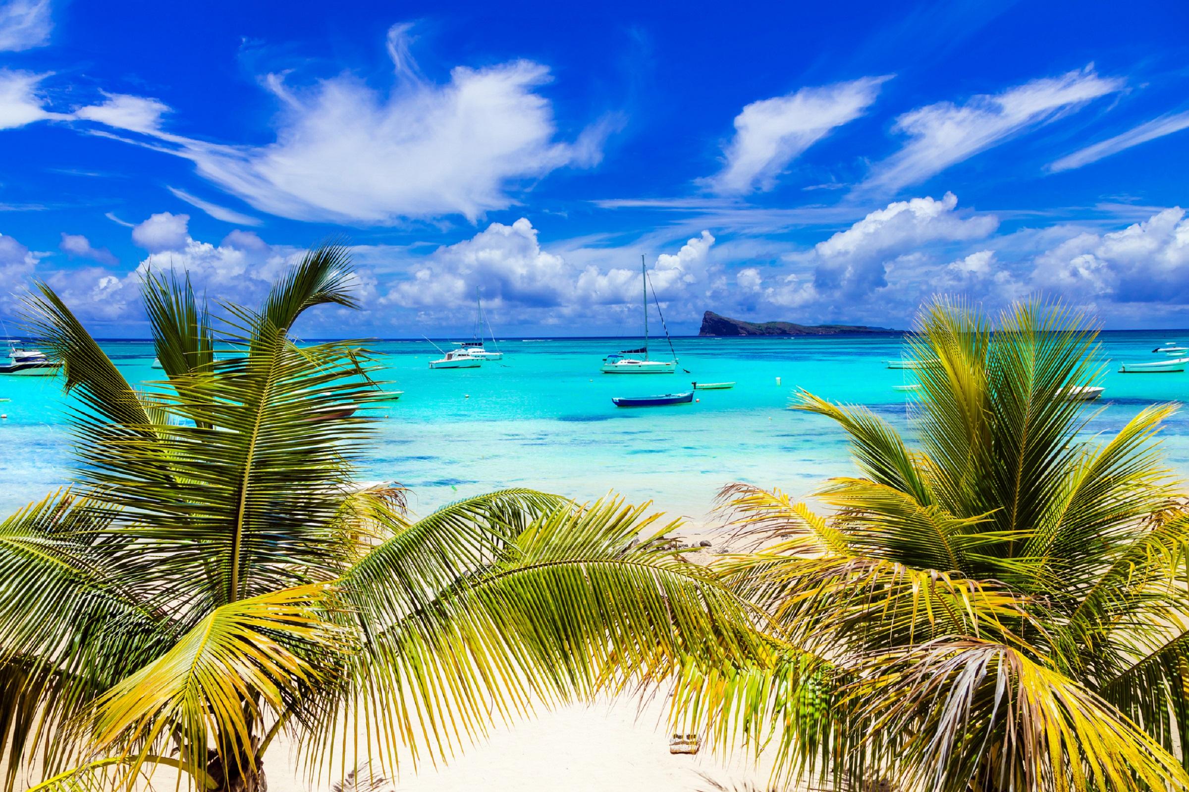 Tropical landscape in Mauritius
