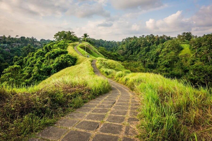 The Campuhan Ridge Walk leads from Ubud into the jungle of Bali.