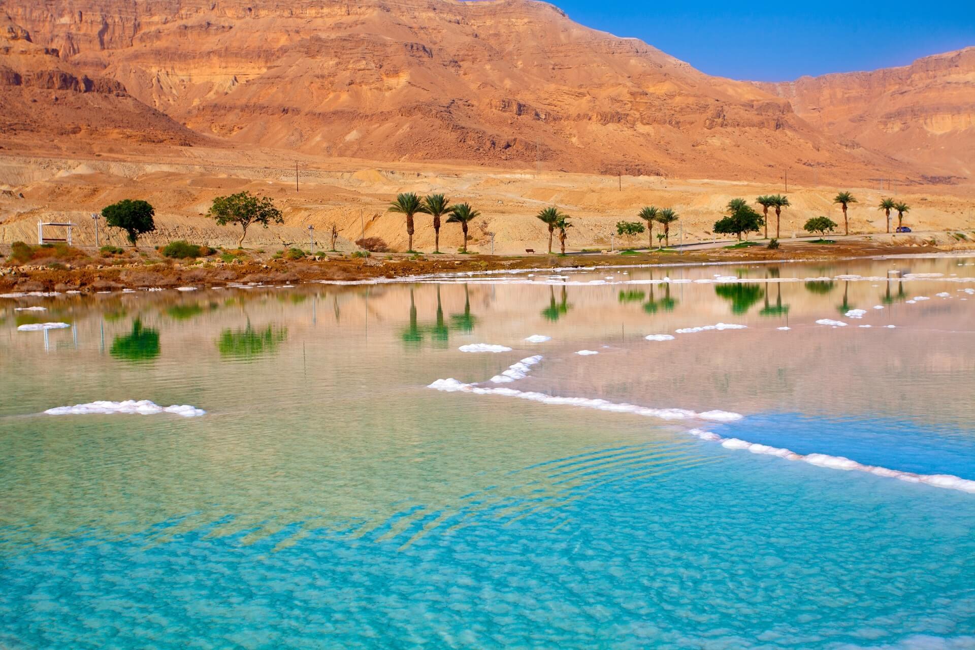View of the turquoise water, palm trees, and mountains in the desert at the Dead Sea.