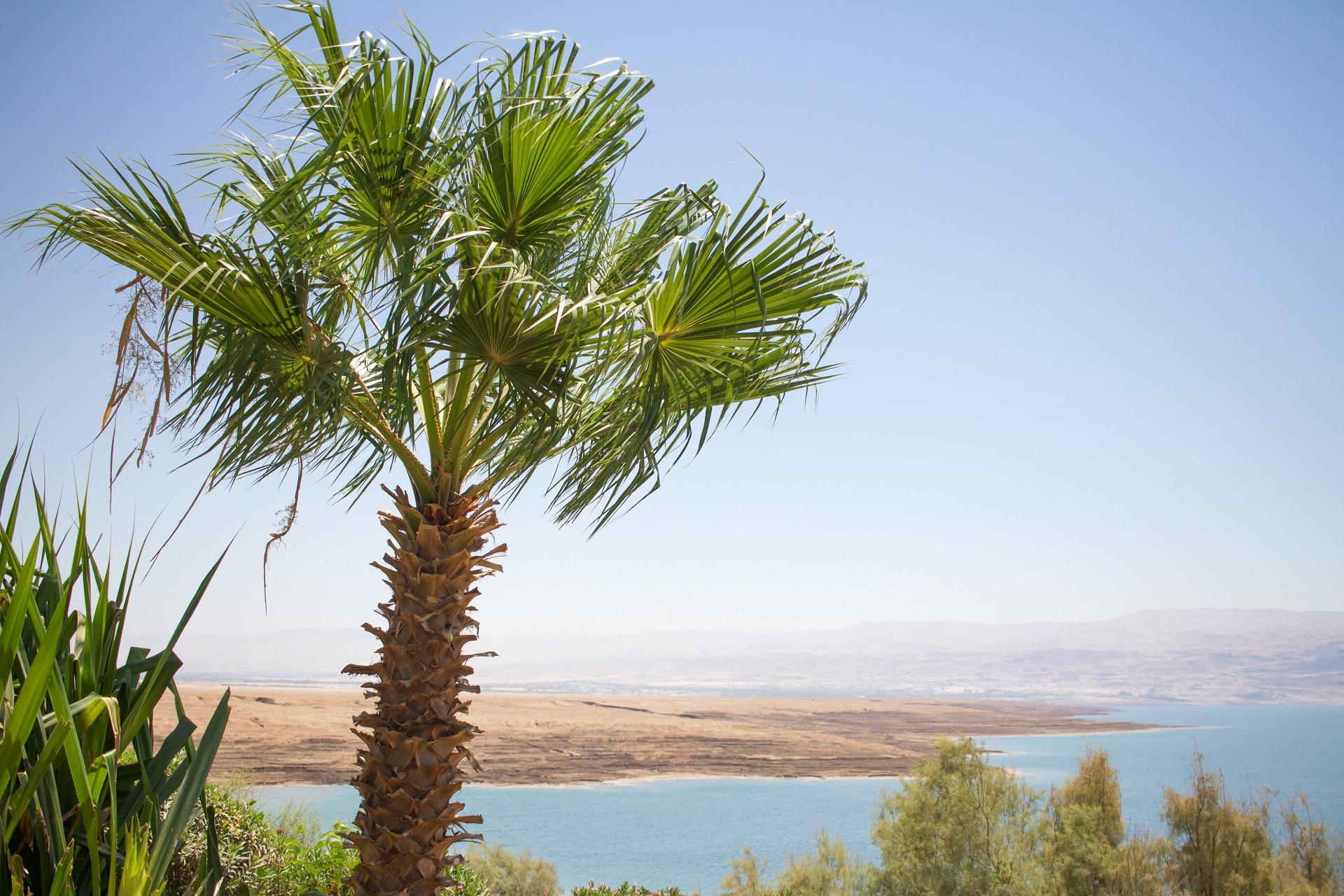 Kalia Beach in Israel.
