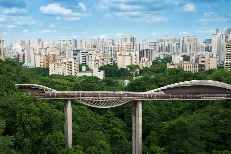 A modern wave-like bridge called Henderson Waves spans over green forests. In the background rises the skyline of Singapore with many skyscrapers against a blue sky.