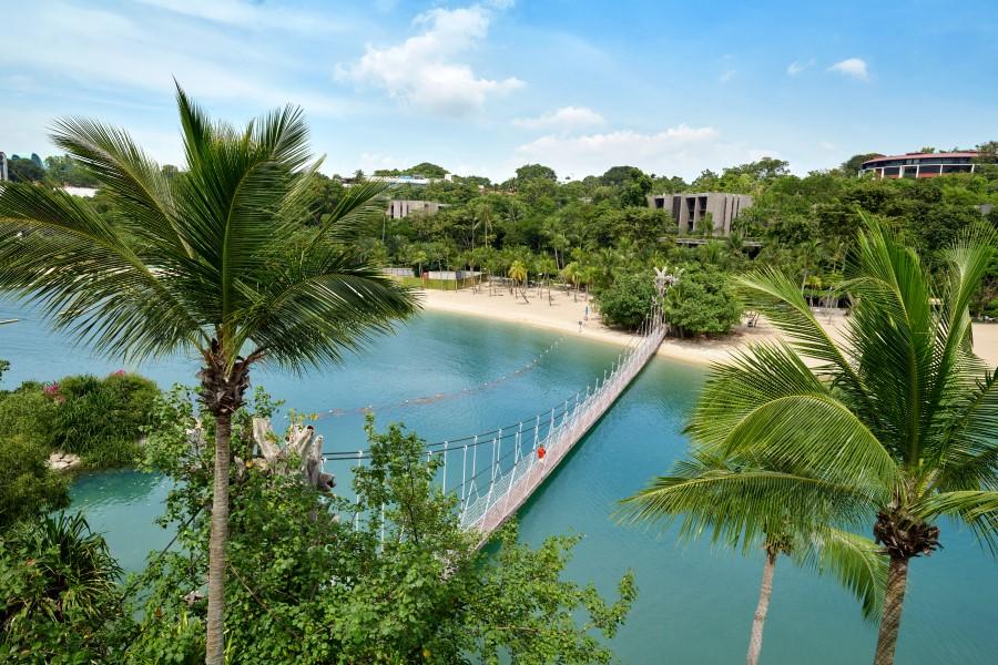 Hanging bridge over turquoise water amidst a tropical landscape. Palms to the left and right, dense forest in the background, sandy beach along the coast.
